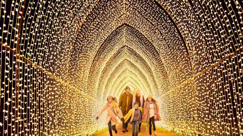 Family walking in Westonbirt Christmas light trail